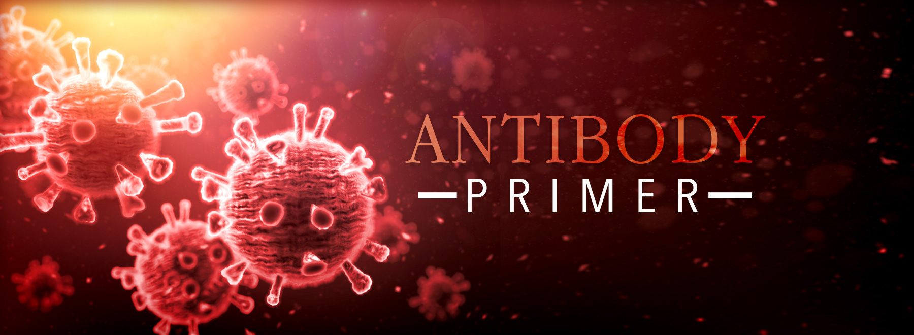 Antibody microscopic illustration